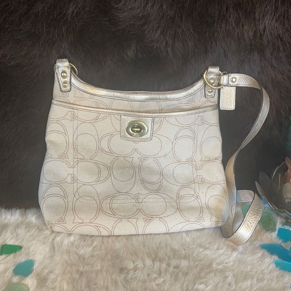 Coach purse (4790)
